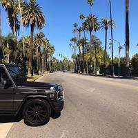 Отзыв от Демьян - DTV виза